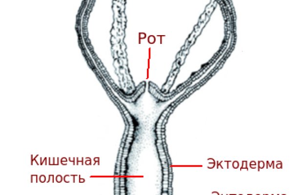 Как открыть кракен