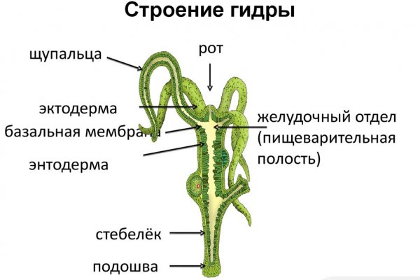 Кракен ссылка маркет